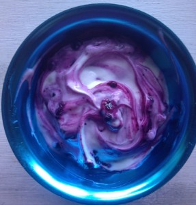 Homemade Blueberry Yogurt