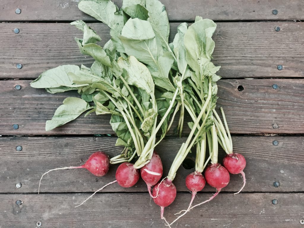 Radishes